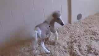 吃瓜热榜 第3页