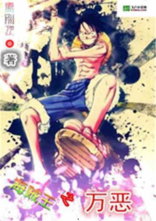 海贼王同人视频,探寻未知世界的冒险之旅