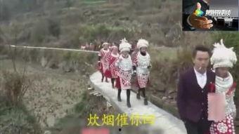 苗家小阿妹视频,传承民族风情的青春旋律