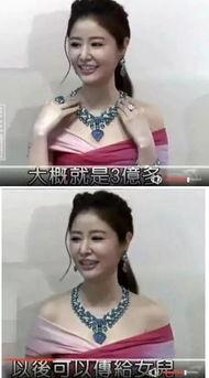 林心如采访视频