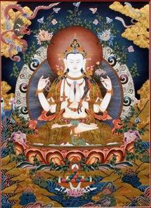 殊心咒视频,揭秘神秘咒语的力量与奥秘