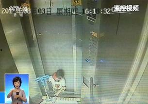 尿娃视频,揭秘婴幼儿如厕训练的趣味瞬间