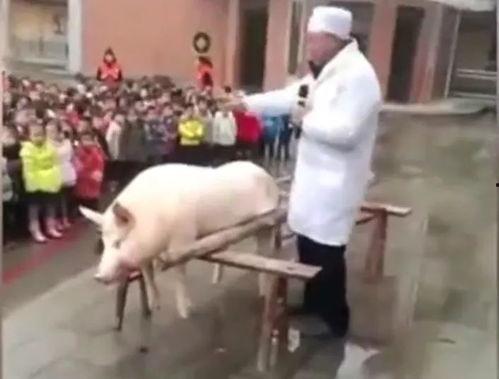 尿娃视频,揭秘婴幼儿如厕训练的趣味瞬间