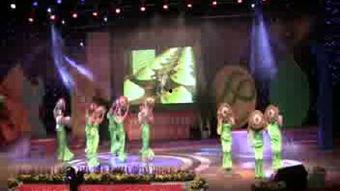 斗笠视频,探寻传统与现代交融的视觉盛宴