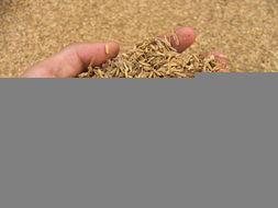 糠视频,揭秘短视频时代的魅力与挑战