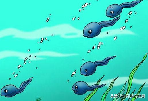 蝌蚪视频免费在线观看,开启无限观影之旅