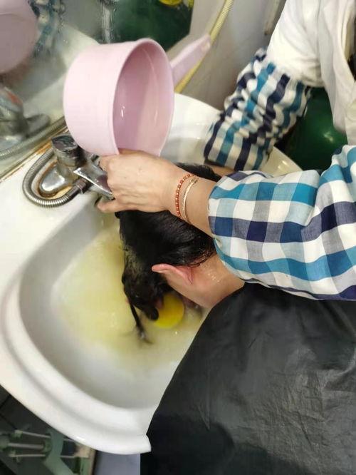 老式理发视频